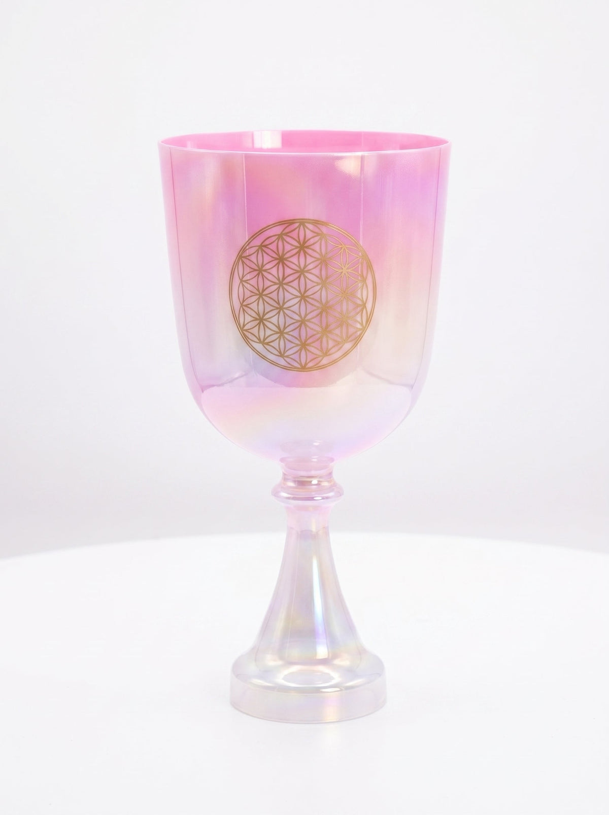 Cálices y Campanillas