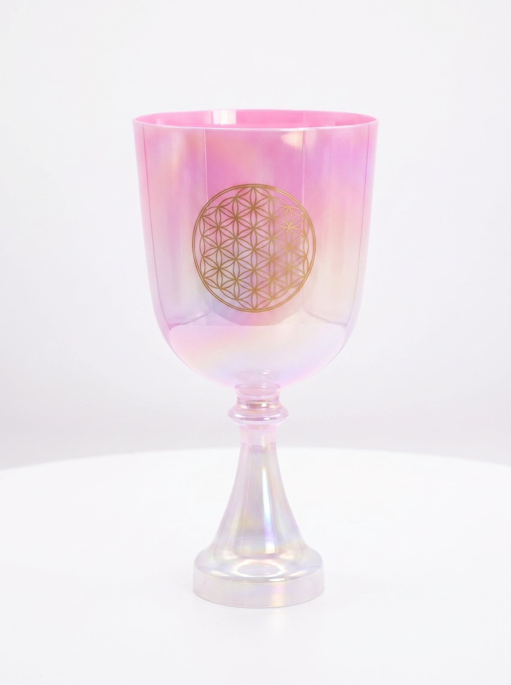 Cálices y Campanillas